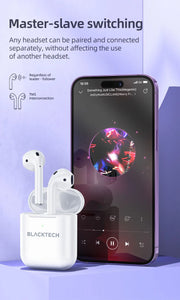 BLACKTECH BL-DES03 True Wireless Earphones